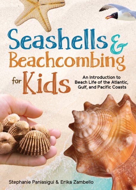 Seashells & Beachcombing for Kids - An Introduction to Beach Life