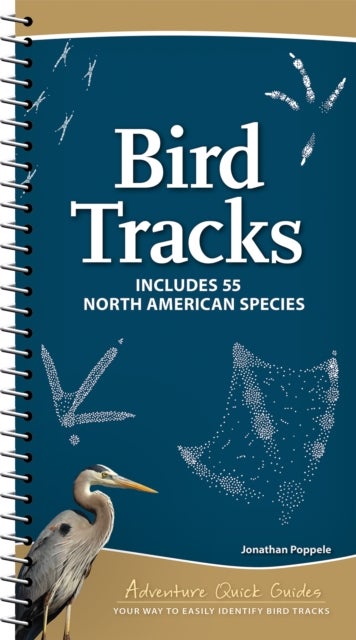 Bird Tracks - Easily Identify 55 Common North American Species