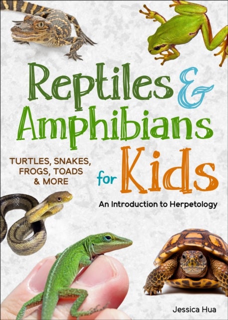 Reptiles & Amphibians for Kids - An Introduction to Herpetology