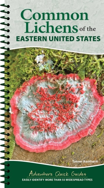 Common Lichens of the Eastern United States - Easily Identify More Than 55 Widespread Types