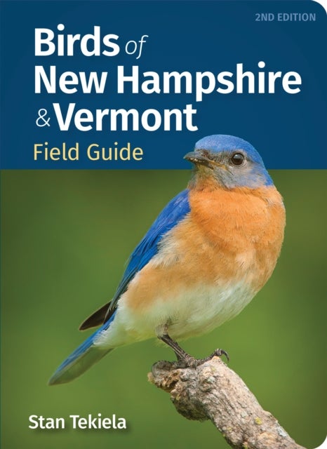 Birds of New Hampshire & Vermont Field Guide