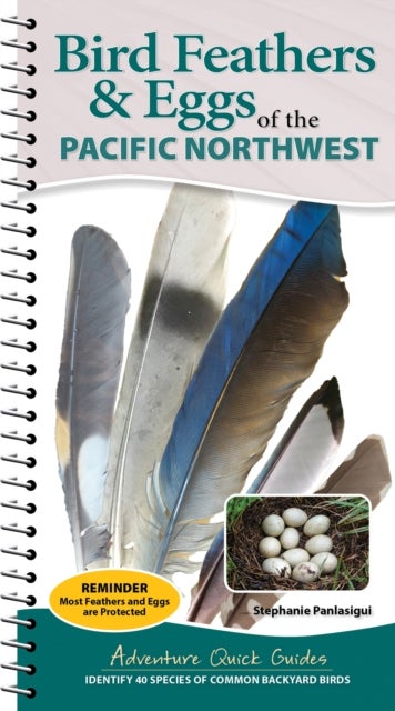 Bird Feathers & Eggs of the Pacific Northwest - Identify 40 Species of Common Backyard Birds