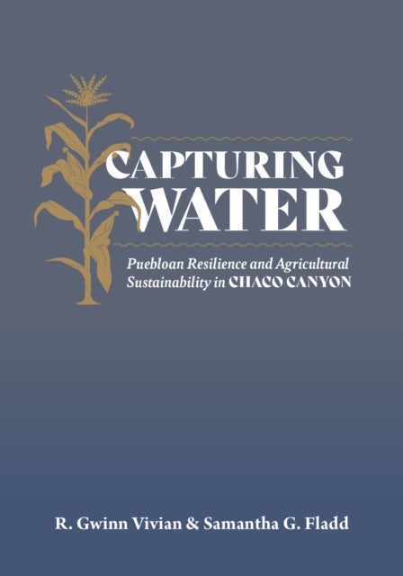 Capturing Water - Puebloan Resilience and Agricultural Sustainability in Chaco Canyon