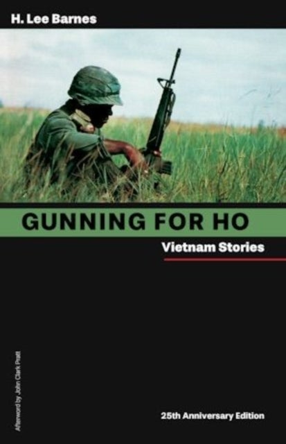 Gunning for Ho - Vietnam Stories
