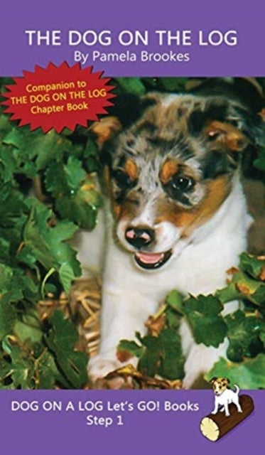 The Dog On The Log - Sound-Out Phonics Books Help Developing Readers, including Students with Dyslexia, Learn to Read (Step 1 in a Systematic Series of Decodable Books)