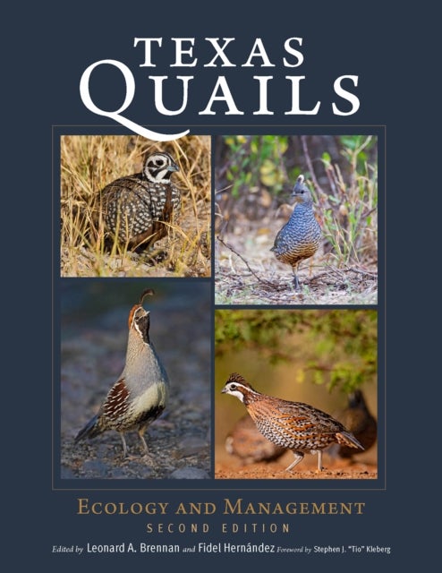 Texas Quails - Ecology and Management
