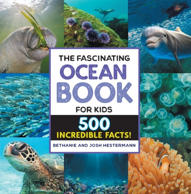 The Fascinating Ocean Book for Kids - 500 Incredible Facts!