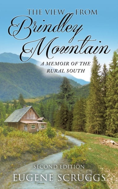The View from Brindley Mountain - A Memoir of the Rural South
