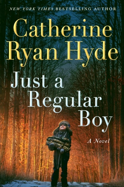 Just a Regular Boy - A Novel