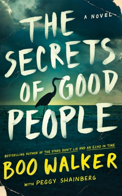 The Secrets of Good People - A Novel