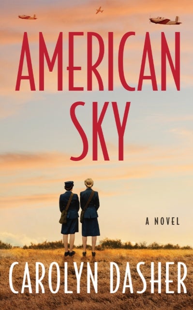 American Sky - A Novel