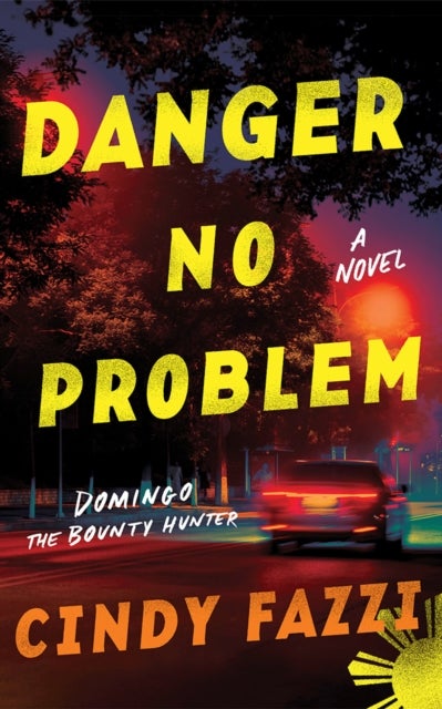 Danger No Problem - A Novel