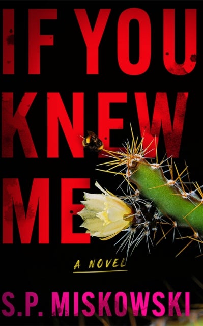 If You Knew Me - A Novel
