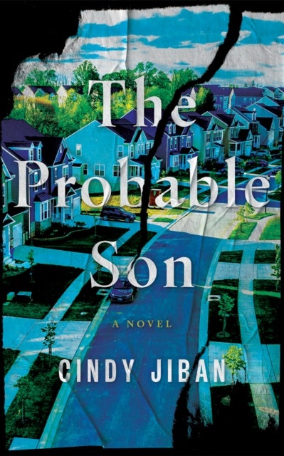The Probable Son - A Novel