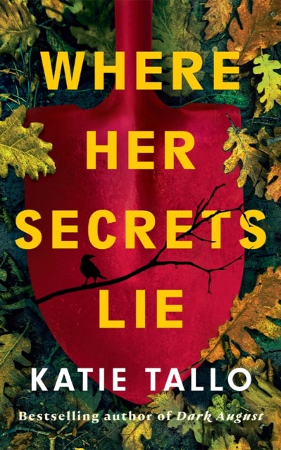 Where Her Secrets Lie