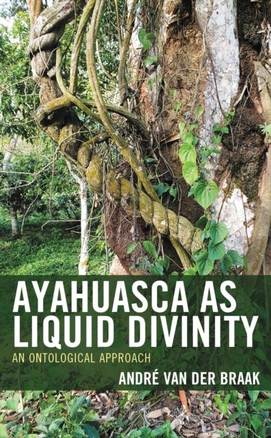 Ayahuasca as Liquid Divinity - An Ontological Approach