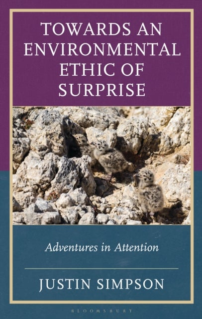 Towards an Environmental Ethic of Surprise - Adventures in Attention