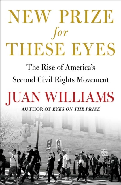 New Prize for These Eyes - The Rise of America's Second Civil Rights Movement