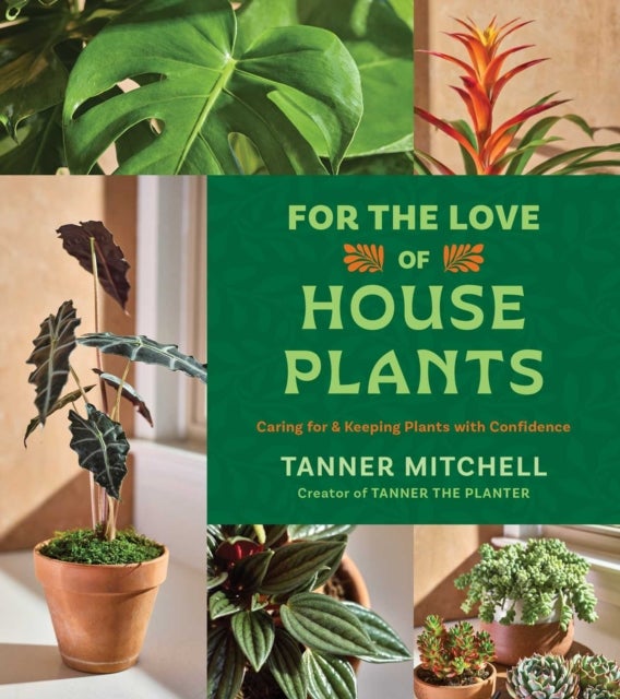 For the Love of Houseplants - Caring for & Keeping Plants with Confidence
