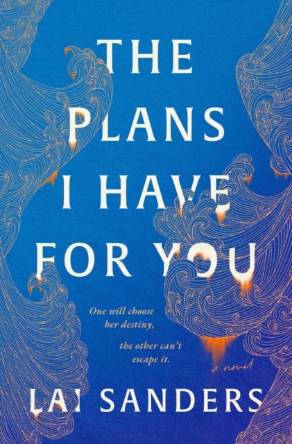 The Plans I Have for You - A Novel