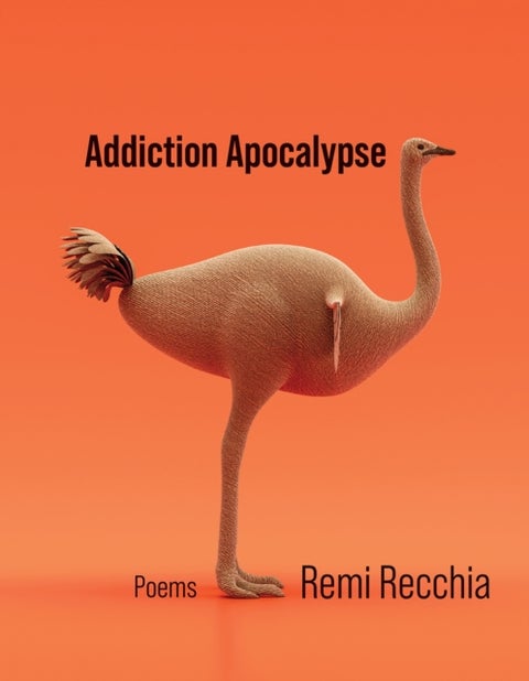 Addiction Apocalypse Volume 46 - Poems