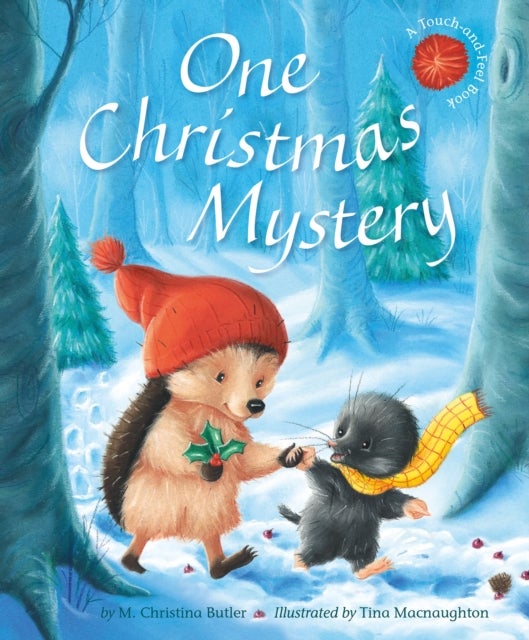 One Christmas Mystery - Little Hedgehog & Friends