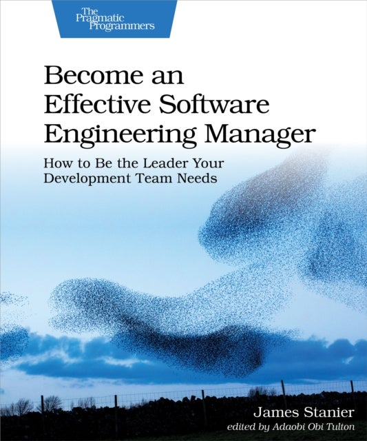 Become an Effective Software Engineering Manager - How to Be the Leader Your Development Team Needs