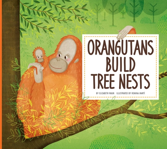 Orangutans Build Tree Nests - Animal Builders
