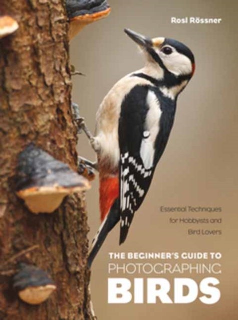 The Beginner's Guide to Photographing Birds - Essential Techniques for Hobbyists and Bird Lovers