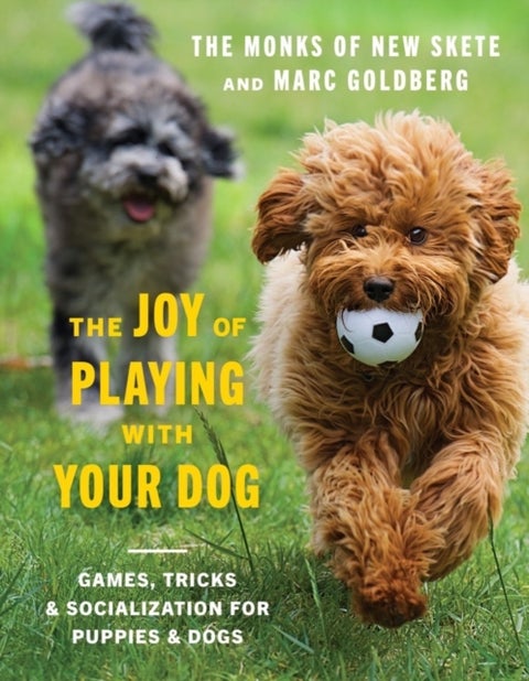The Joy of Playing with Your Dog - Games, Tricks, & Socialization for Puppies & Dogs
