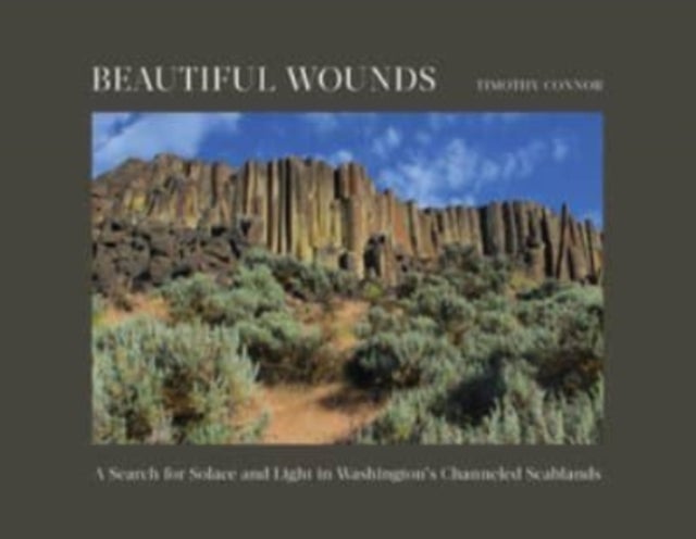 Beautiful Wounds - A Search for Solace and Light in Washington's Channeled Scablands