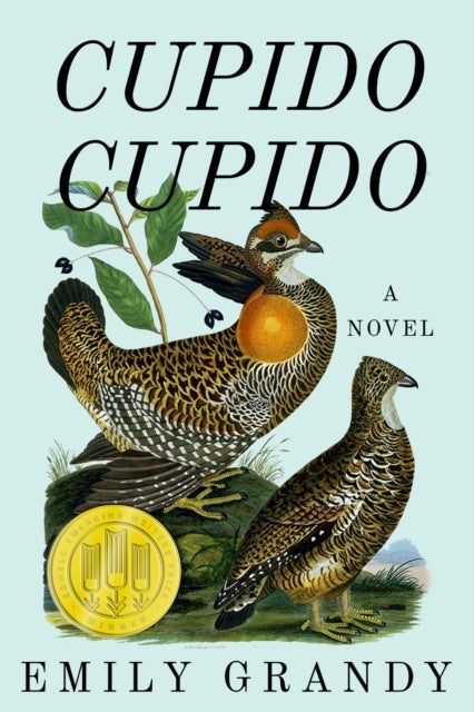 Cupido Cupido - A Novel