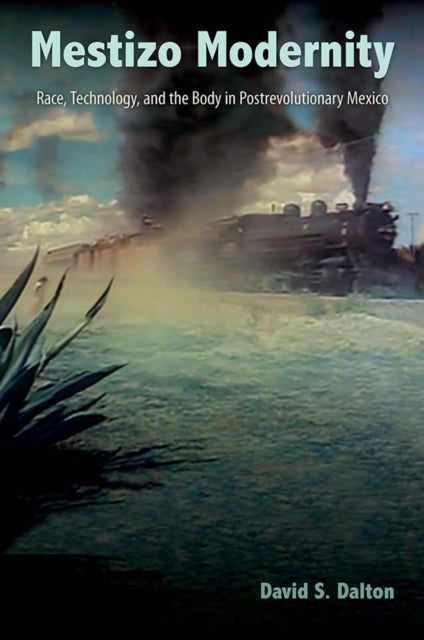 Mestizo Modernity - Race, Technology, and the Body in Post-Revolutionary Mexico