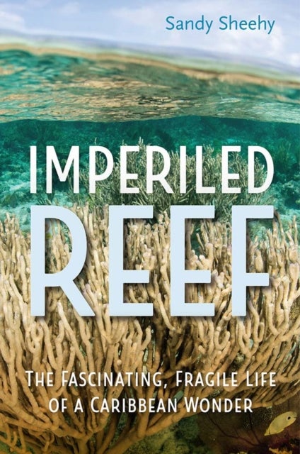 Imperiled Reef - The Fascinating, Fragile Life of a Caribbean Wonder