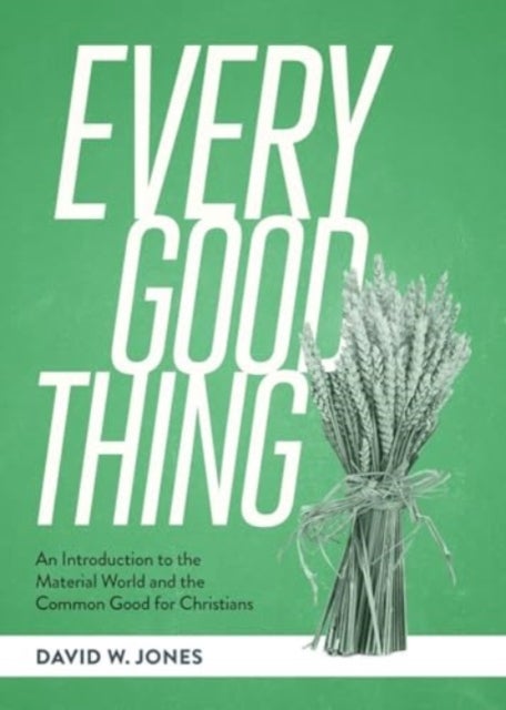 Every Good Thing - An Introduction to the Material World and the Common Good for Christians