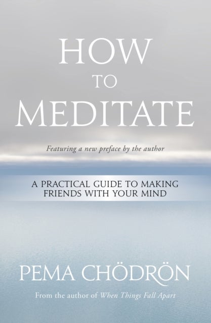 How to Meditate - A Practical Guide to Making Friends with Your Mind