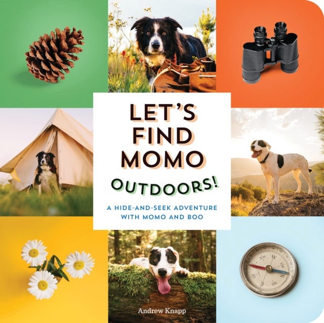 Let's Find Momo Outdoors! - A Hide and Seek Adventure with Momo and Boo