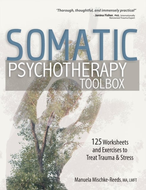 Somatic Psychotherapy Toolbox - 125 Worksheets and Exercises to Treat Trauma & Stress