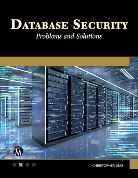 Database Security - Problems and Solutions