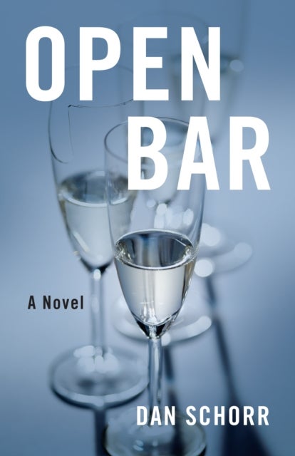 Open Bar - A Novel