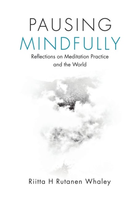 Pausing Mindfully - Reflections on Meditation Practice and the World
