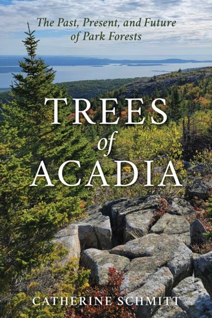 Trees of Acadia - The Past, Present, and Future of Park Forests
