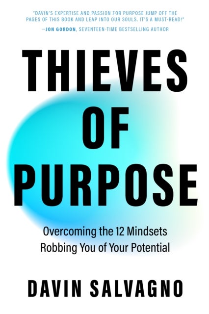 Thieves of Purpose - Overcoming the 12 Mindsets Robbing You of Your Potential (Self Help Tools)