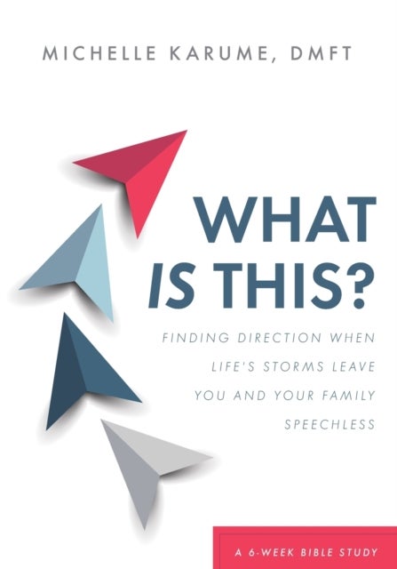 What Is This? - Finding Direction When Life's Storms Leave You and Your Family Speechless