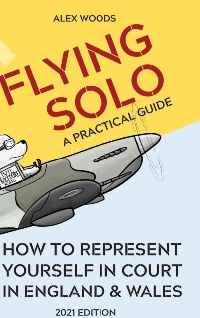 Flying Solo - How to Represent Yourself in England and Wales
