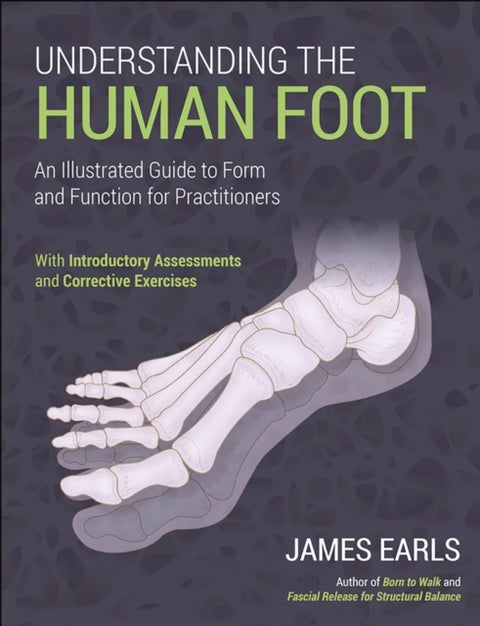 Understanding the Human Foot - An Illustrated Guide to Form and Function for Practitioners