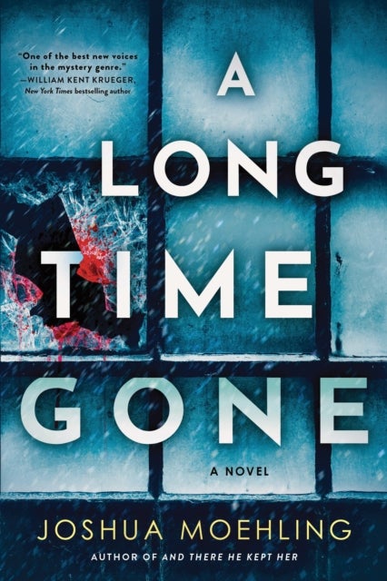 A Long Time Gone - A Novel