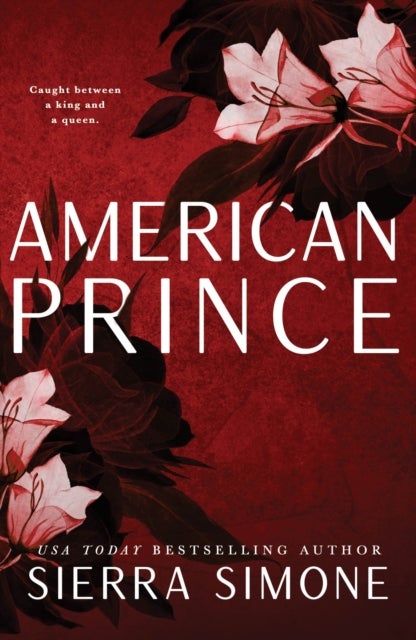 American Prince - A Steamy and Taboo BookTok Sensation