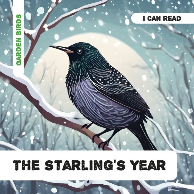 The Starling's Year - Decodable Phonics Reader (Ages 5-7)
