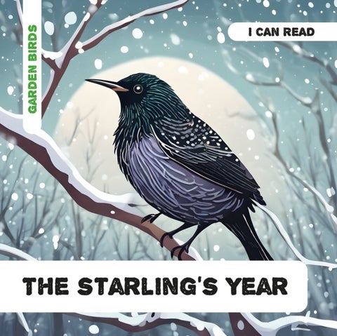 The Starling's Year - Decodable Phonics Reader (Ages 5-7)